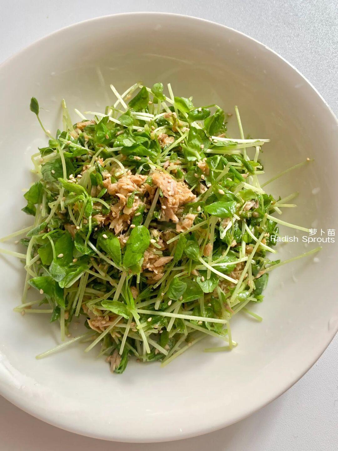 干净清爽的食谱 |萝卜苗沙拉🥗