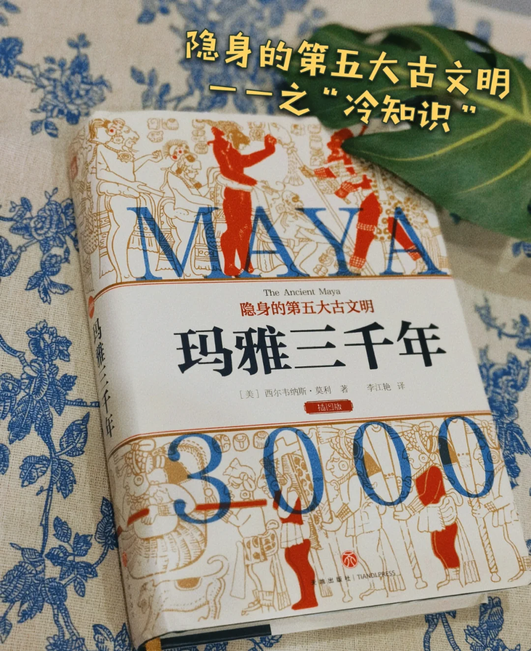 🗿文明不会消失，它只是被写进了历史㊙️