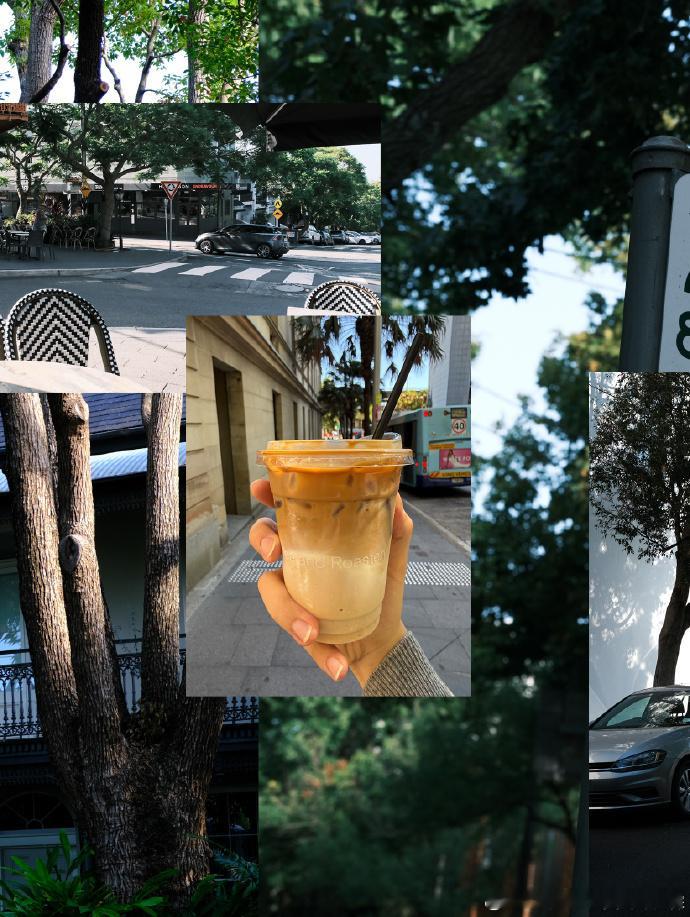 贺峻霖拿中戏学生卡打卡悉尼大学贺峻霖澳大利亚plog贺峻霖分享澳洲 plog，悉