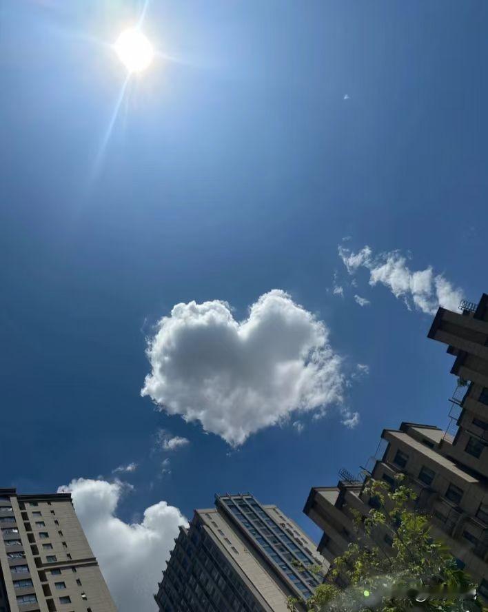 有时候，
话到嘴边，
又咽回去了。

不是不想说，
是说了也没用。

白天见谁都