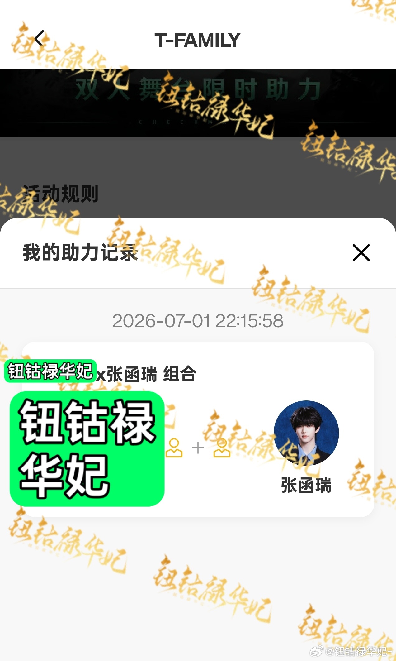 已严肃投票 
