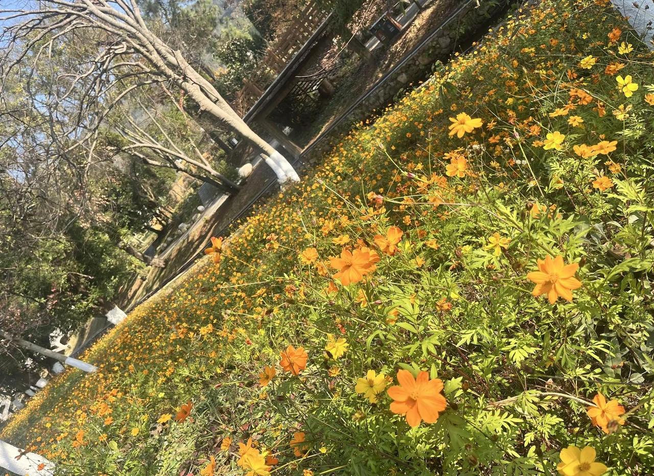 风吹走霉运，往后都是好运连连🍀爬山推荐 小众打卡