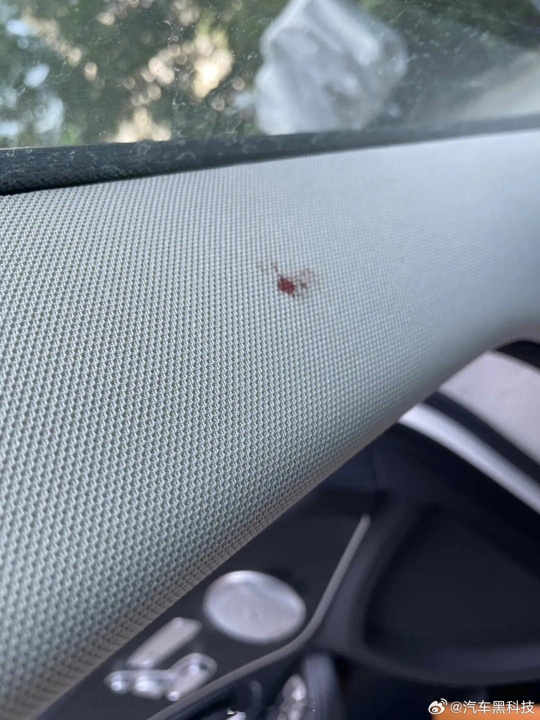 #我与车内的蚊子势不两立# 消灭车里蚊子最简单的方法就是暴晒，如果非要拍死它也行