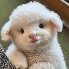 微博之夜出图红毯和盛典的时间都好健康，不用熬夜了，微博之夜真好