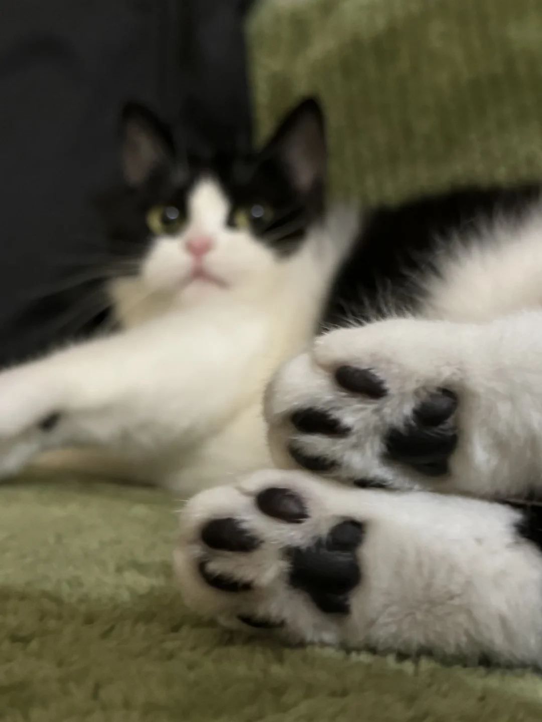 黑色别有一番风味