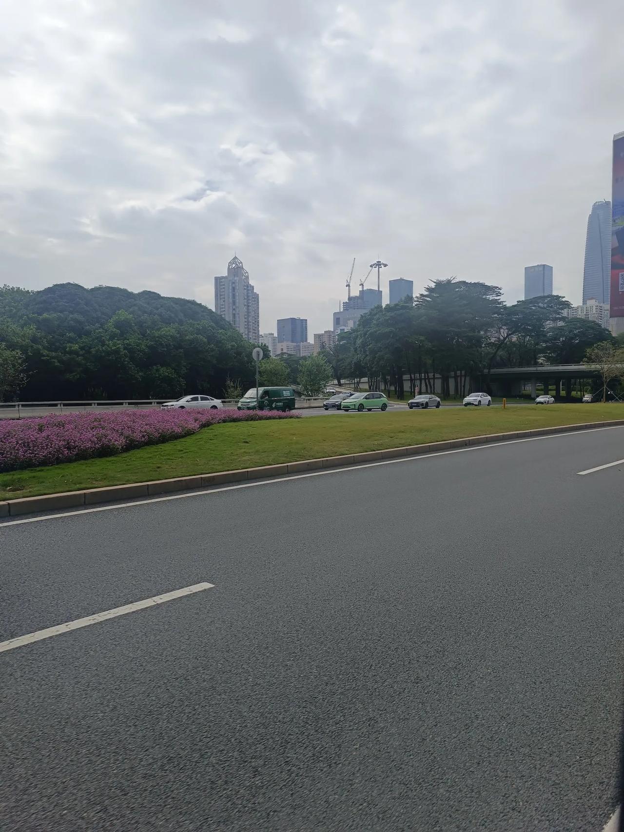 繁忙都市中，
宁静的绿洲。
深南大道之行也