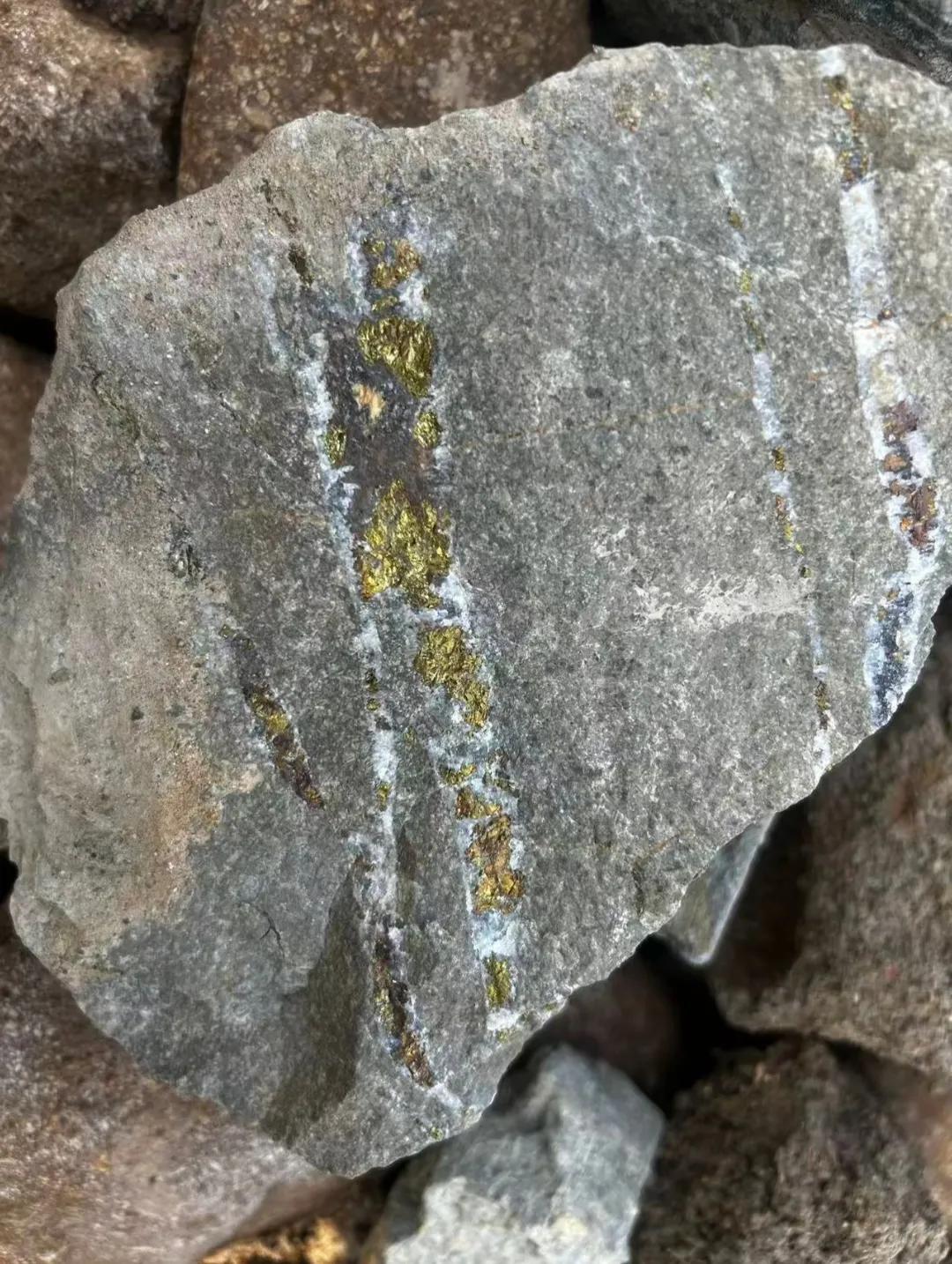 出去爬山时偶然发现一块奇石，上面金色的东西也不知道到底是啥玩意？有人知道这是什么