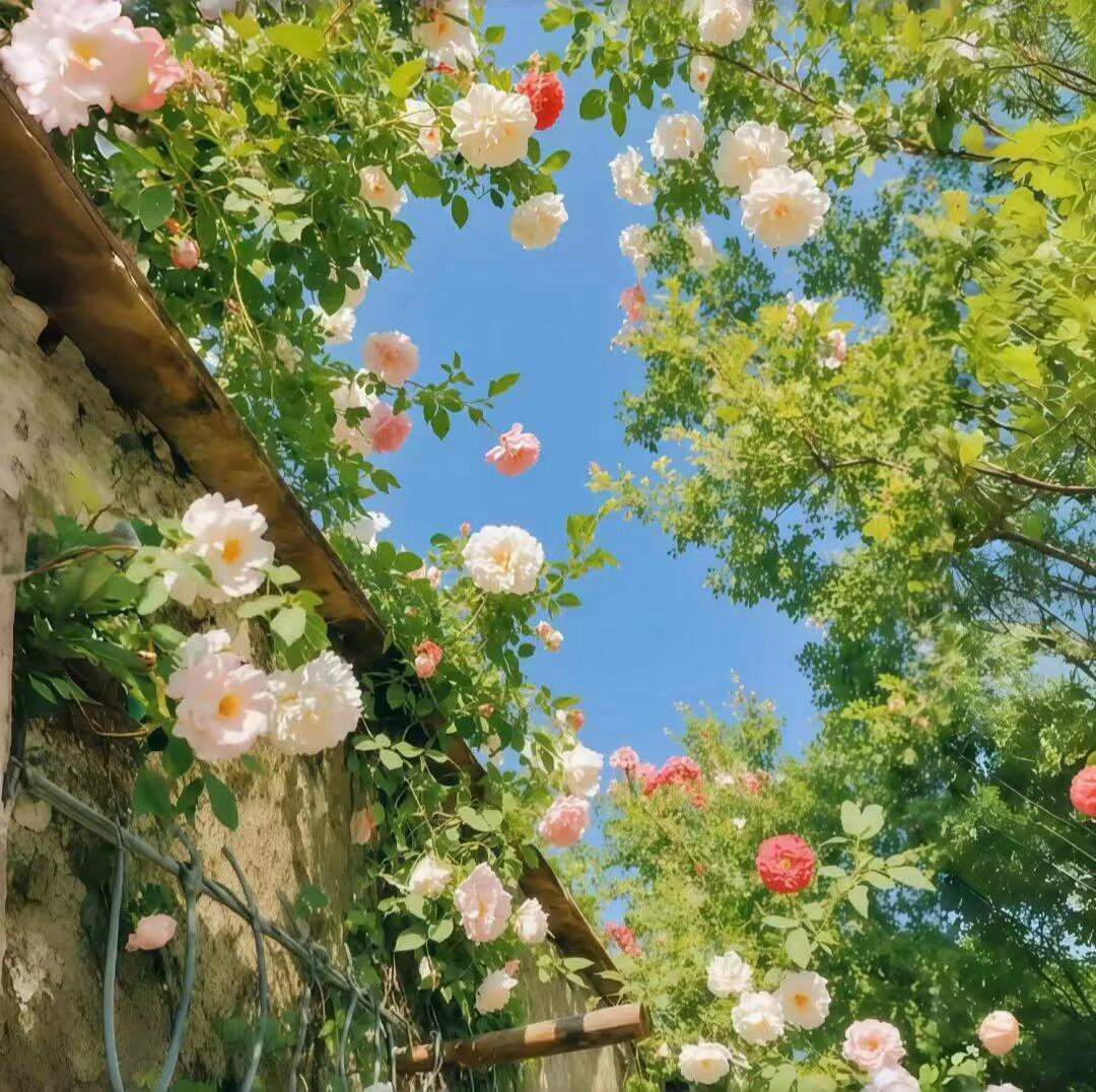 WeChat背景图 