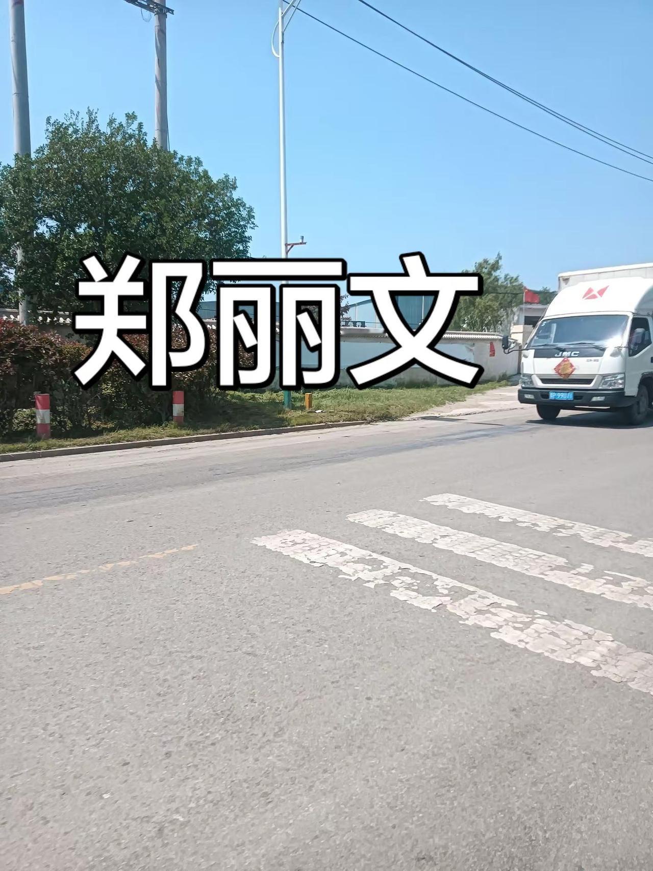 郑丽文 祖国万岁 祖国统一势不可挡 台湾