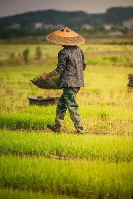 1. 勤劳的重要性：
   - 基础建设：勤劳的人在农业、工业和服务行业中的辛勤