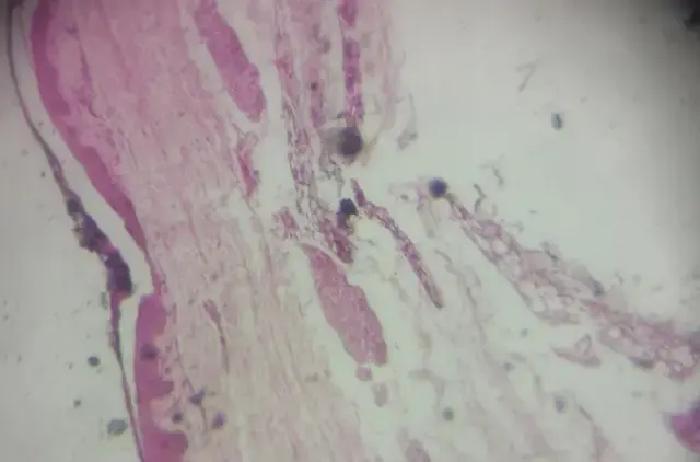 县域国企正面临文化建设虚化弱化的尴尬局面，许多企业把文化挂在墙上，却和日常干活脱