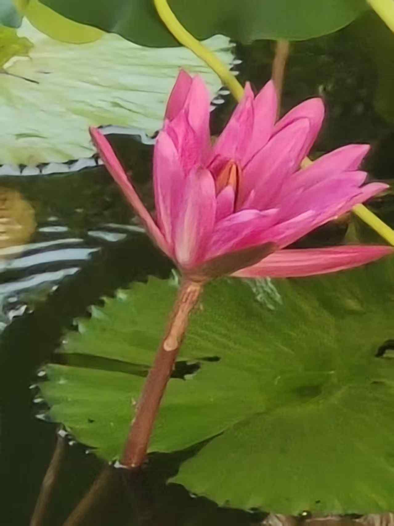 今日随手拍