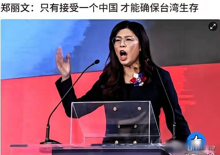 台湾传出好消息！
郑丽文作出重大表态 ！

郑丽文这个人，大家可能都认识，她以前