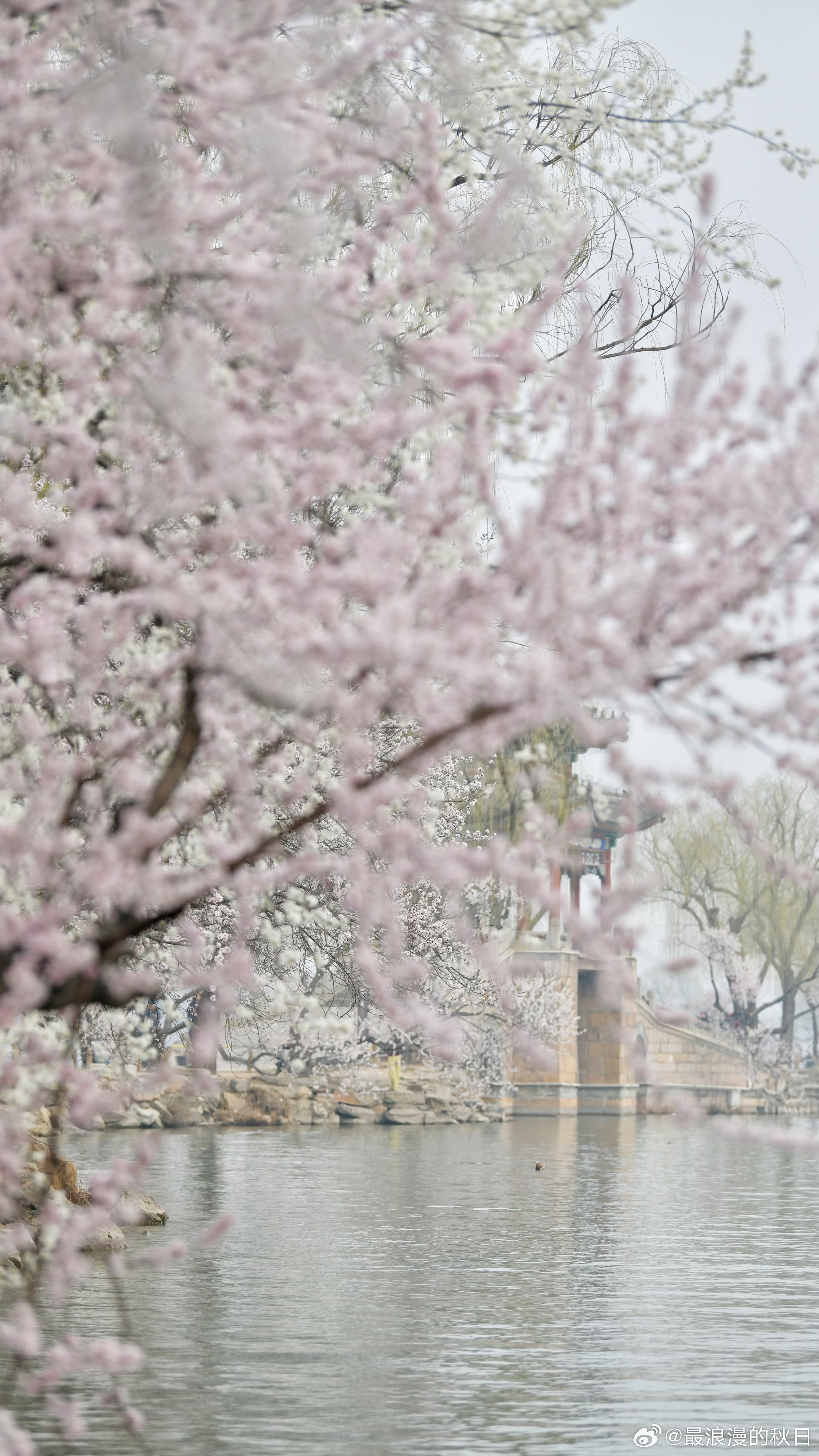 西堤春光——颐和园 摄影