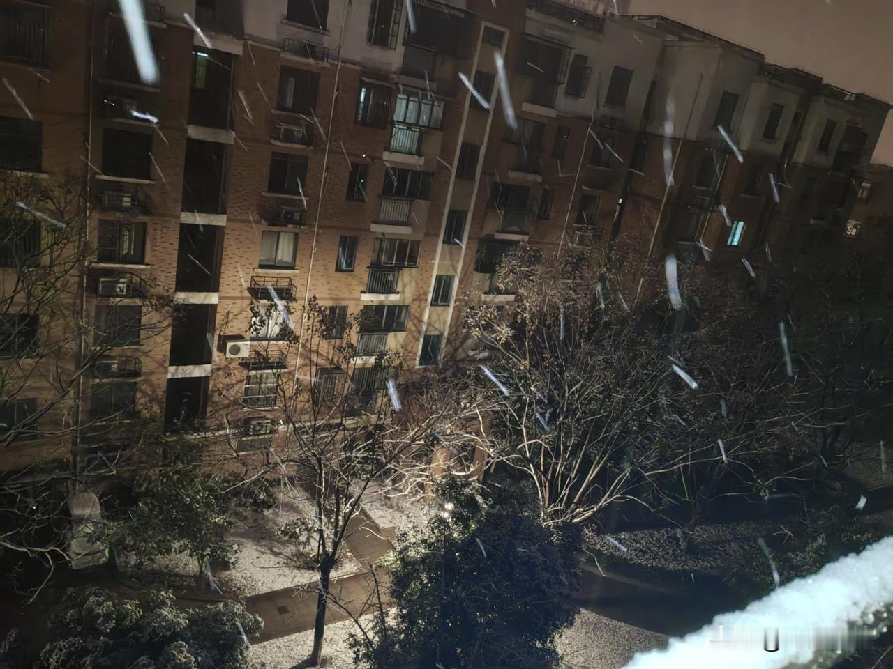 新年第一天，雪花如约而至，空中飞舞，真可谓是瑞雪兆丰年。