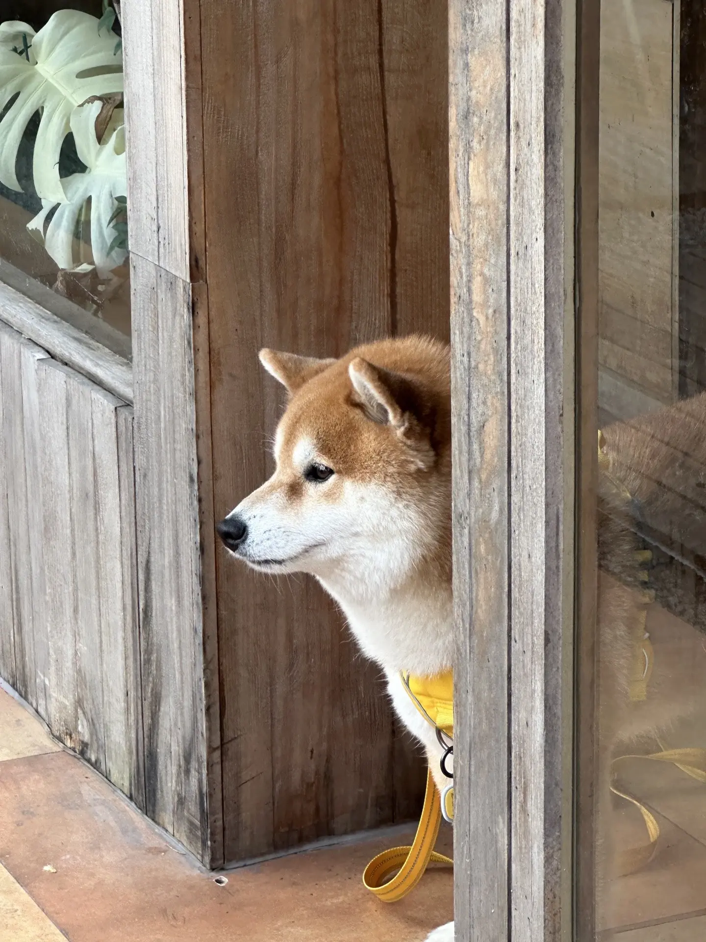 《迎宾日记》路过了不进来玩的（6人） 路过说我是大黄面包的（4人） 给...