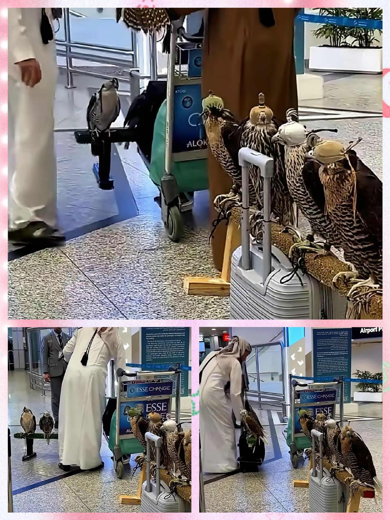 别再跟我说什么“贫穷限制了想象力”。
我今天在迪拜机场，亲眼看着我的想象力，被人