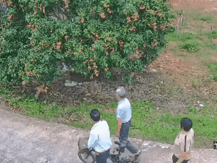 这属不属于偷盗