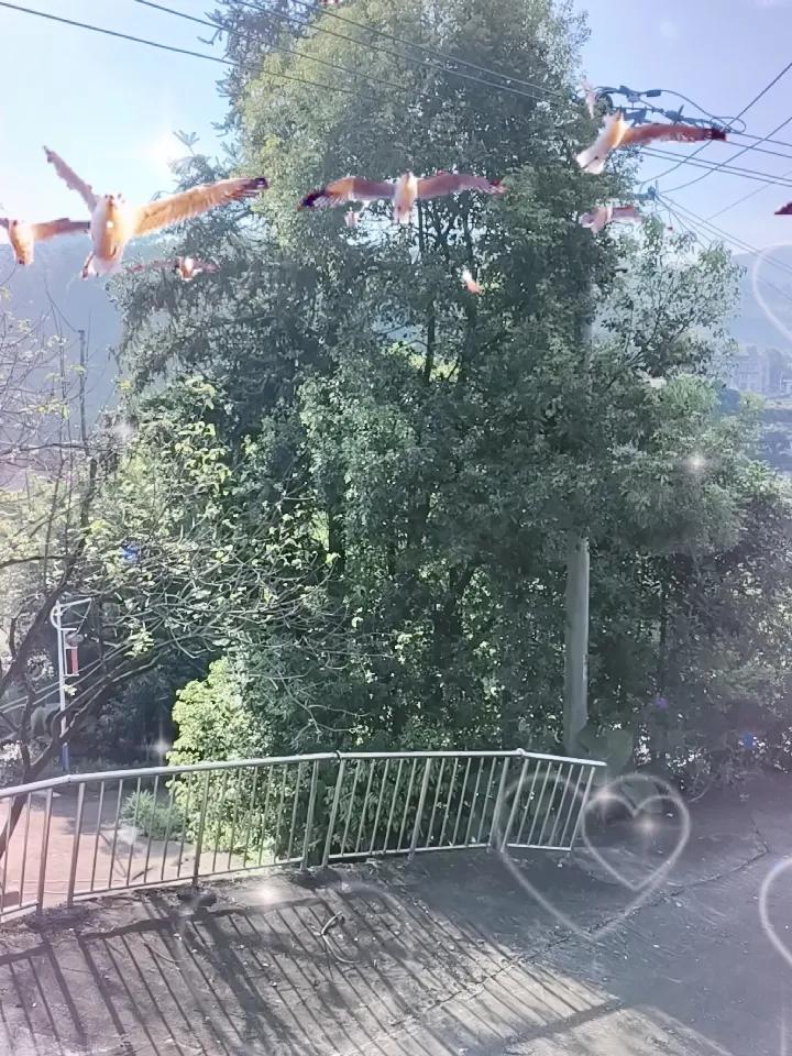 分享你的随手拍照片分享随手拍的照片…