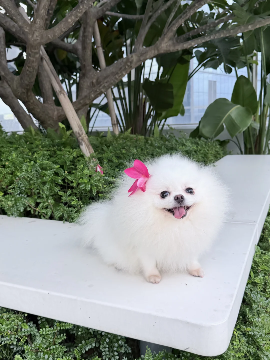 瓜与花 孰美？