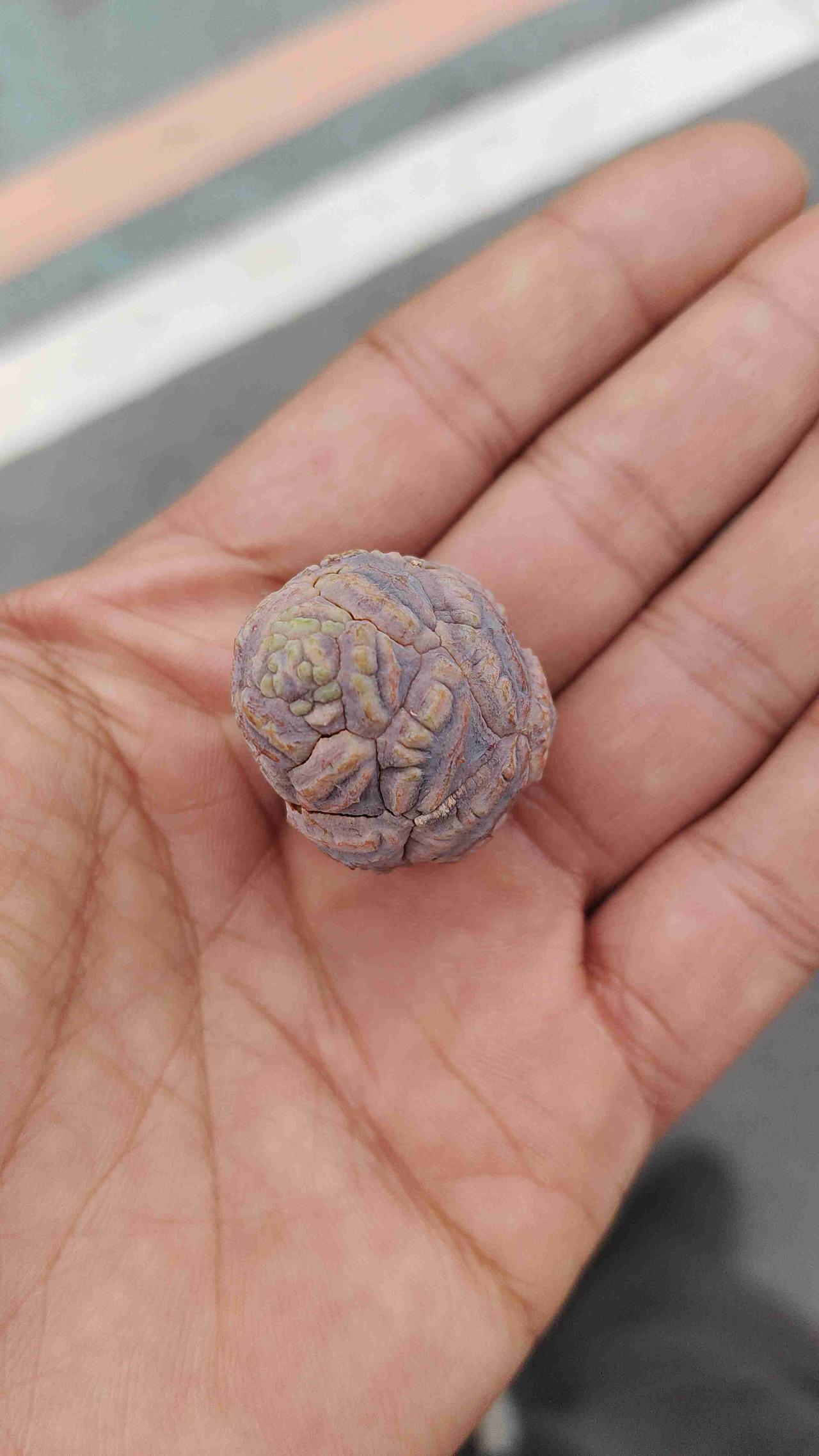 我的今日状态：😁轻松愉快
我这里的天气：☀️晴天