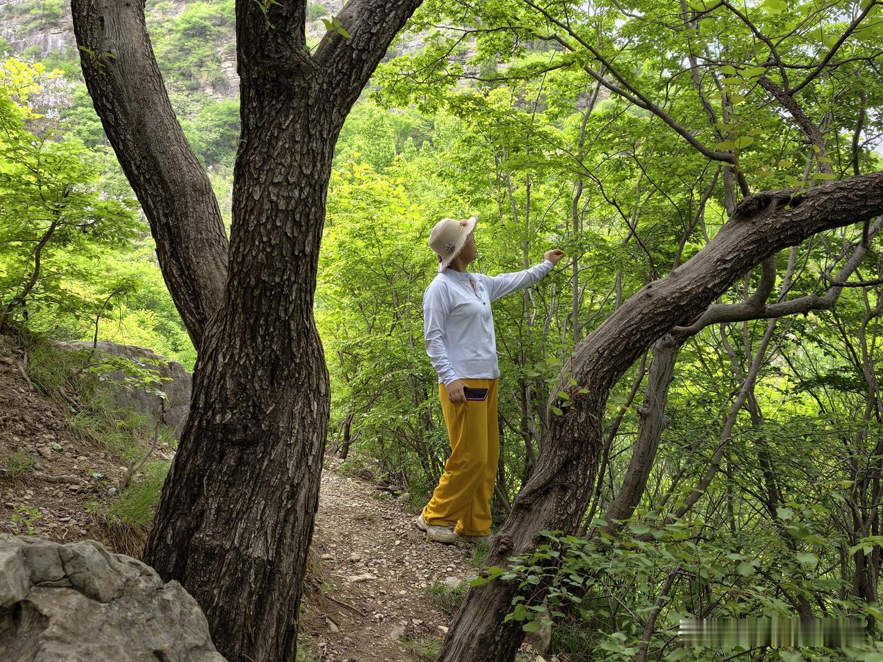 山东省首批传统古村落，位于淄川太河镇，这个名字听起来，就带着几分安稳。
	
据《