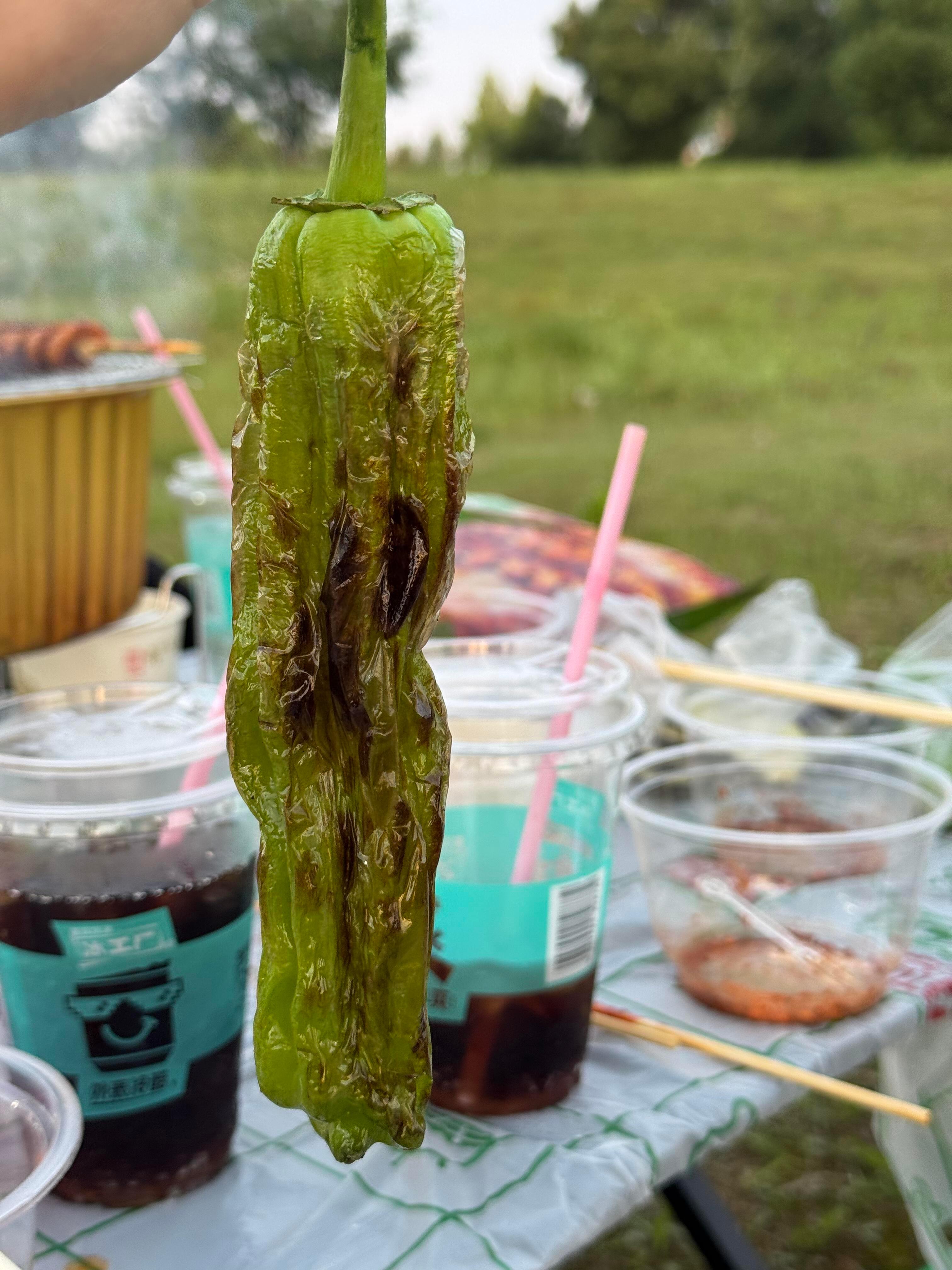 天很蓝,阳光正好,野餐正当其时。 