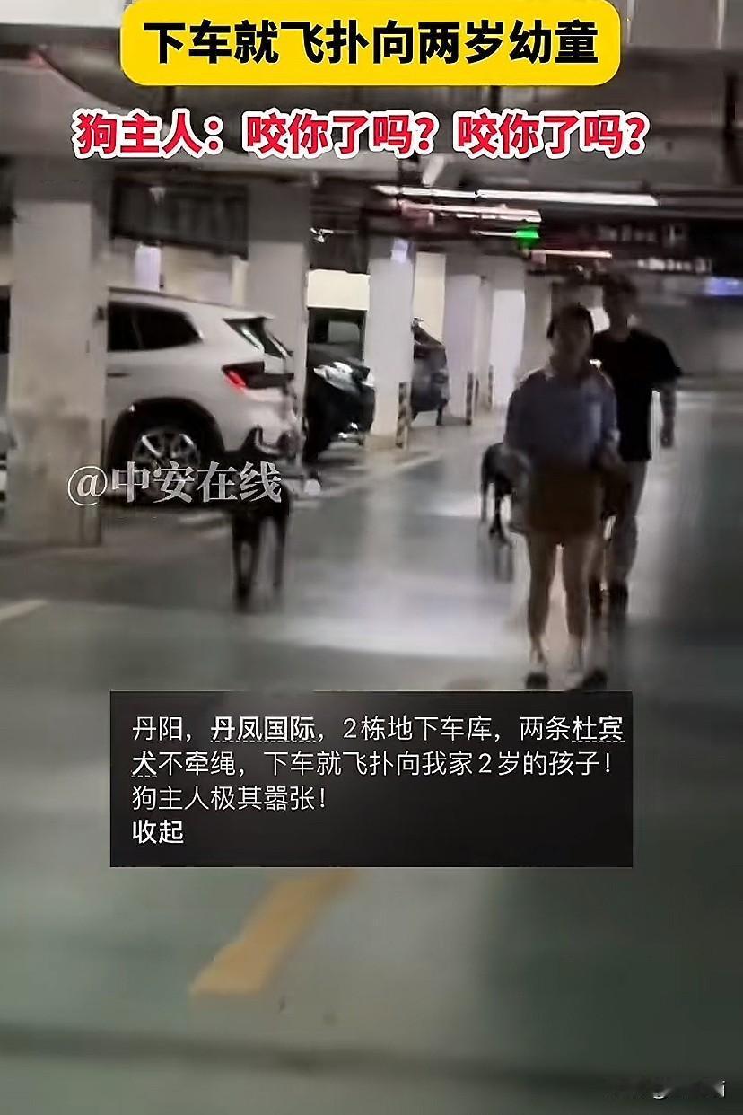 江苏丹阳，一对男女带着两只杜宾犬在小区的车库溜达未拴绳，狗子直扑两岁幼童。狗主人