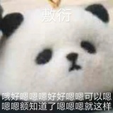 呆聚聚娱乐