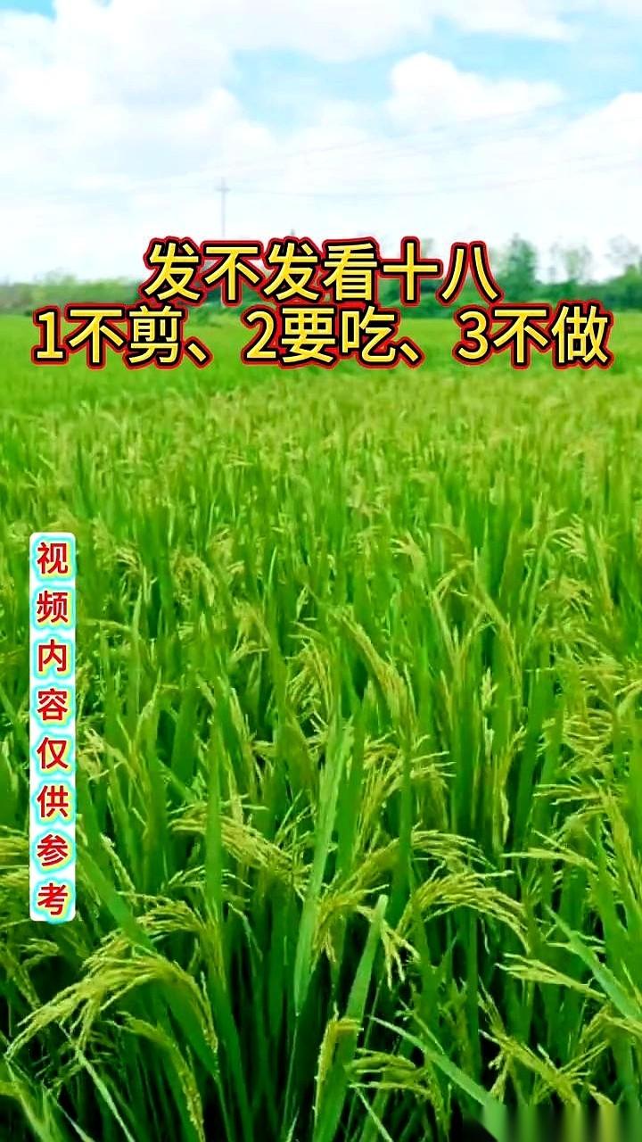 民间有句挺玄乎的老话，叫“发不发，看十八”。
这一天，在老一辈人的眼里，就像是一