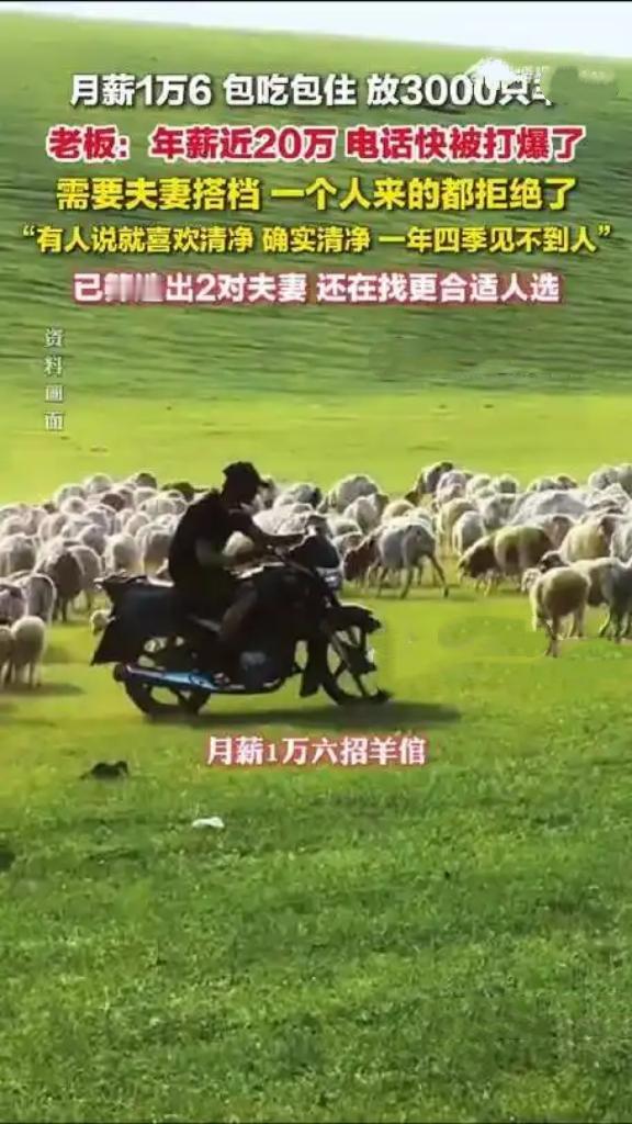 内蒙古锡林郭勒盟月薪1.6万招放羊员的消息引发关注，招聘方已从数百位报名者中初步