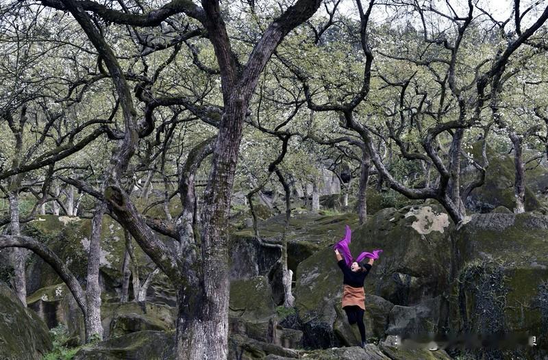 平顶山郏县渣园村：我请李白住过的园子，最后沦落成垃圾堆？

北宋有个官叫崔鶠，性