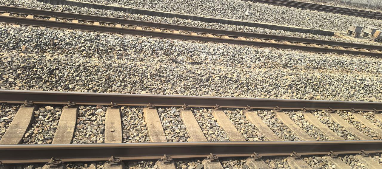 坐高铁时发现一个很有意思的事

在我们国家，行人或者骑车开车都必须遵守的交通规则