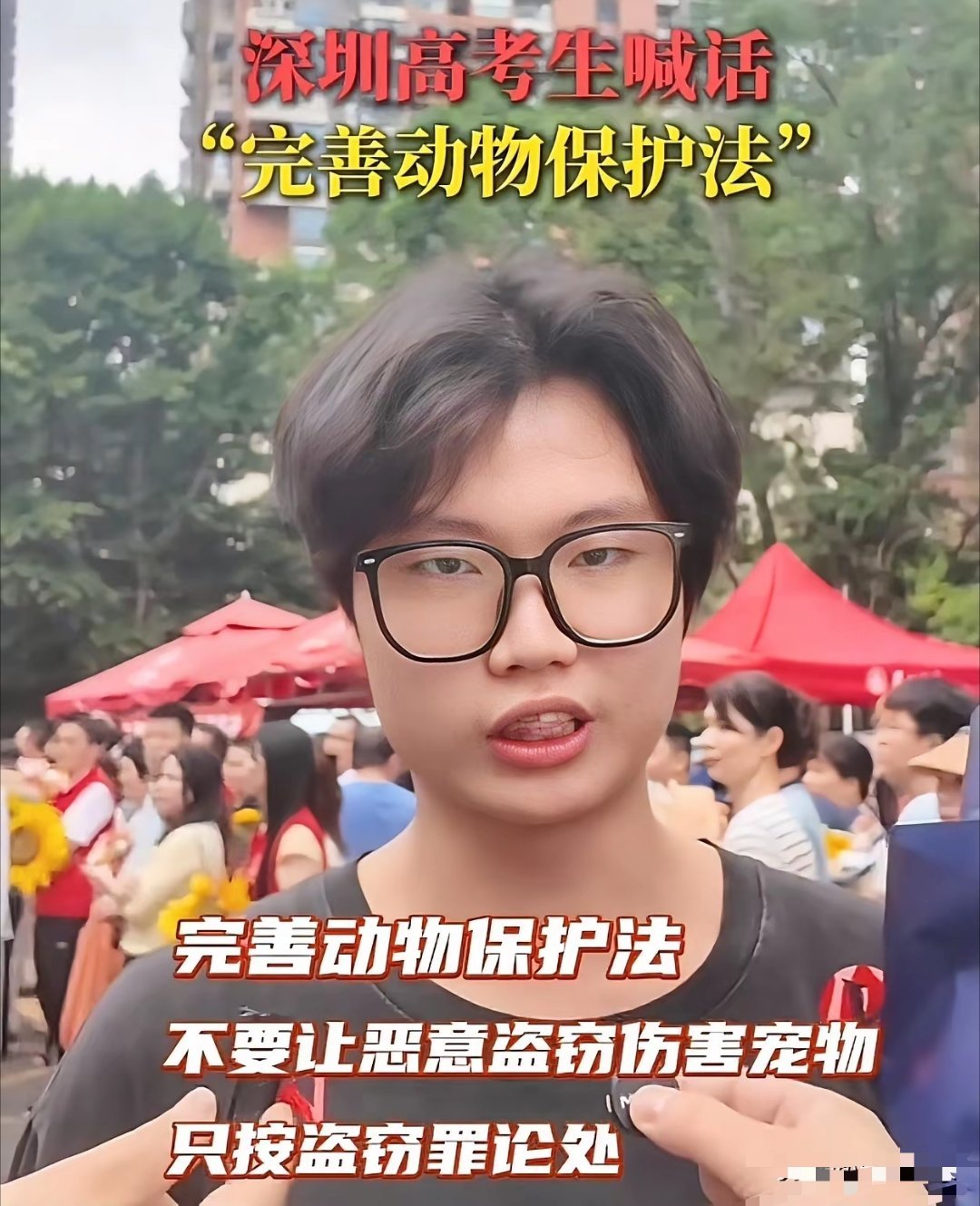一名高考生喊话：完善动物保护法，不要让恶意盗窃伤害宠物只按盗窃罪处理。 
