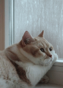 😭明天要回去上班了 ​​​