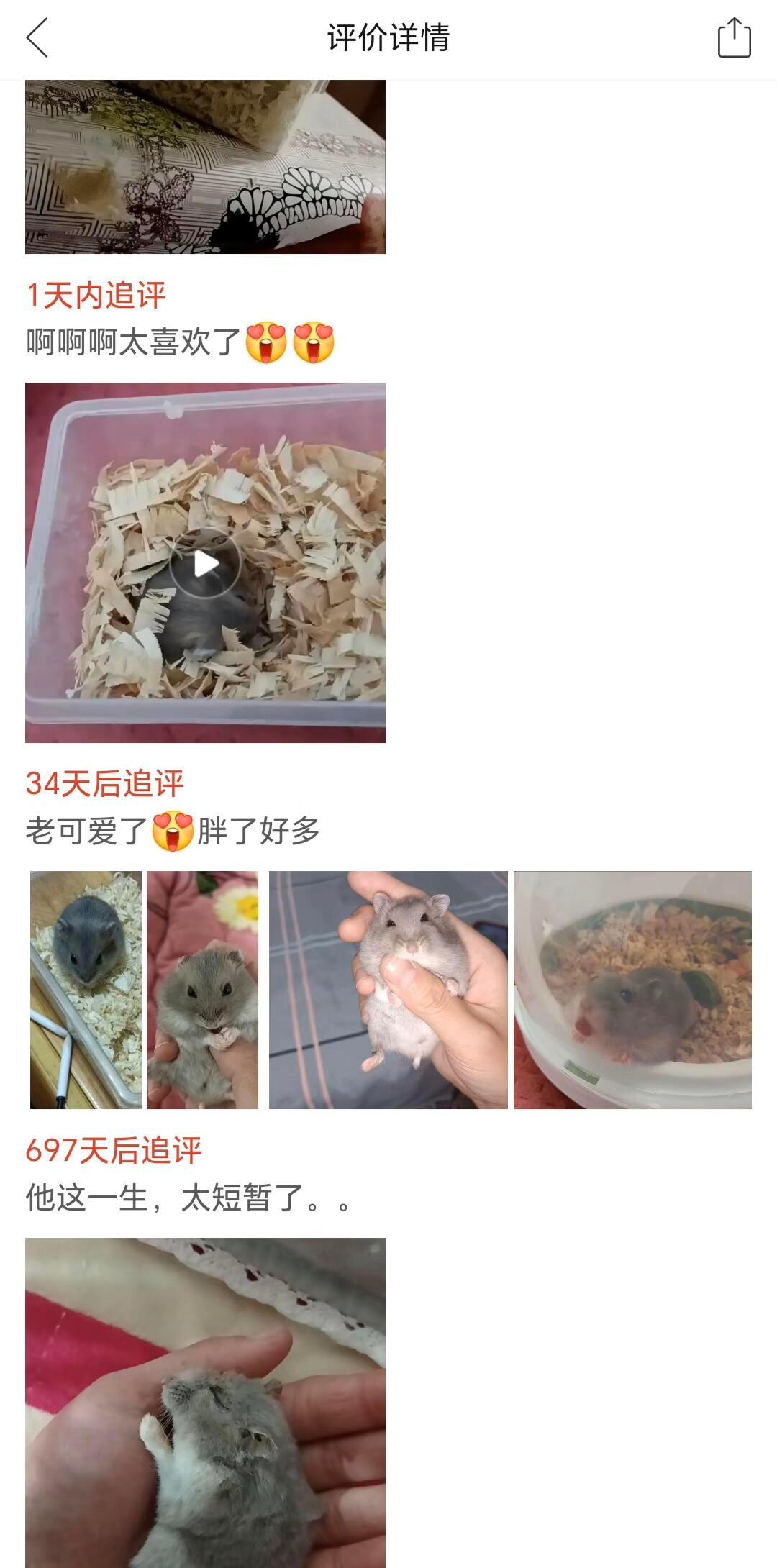 它这一生，太短暂了 