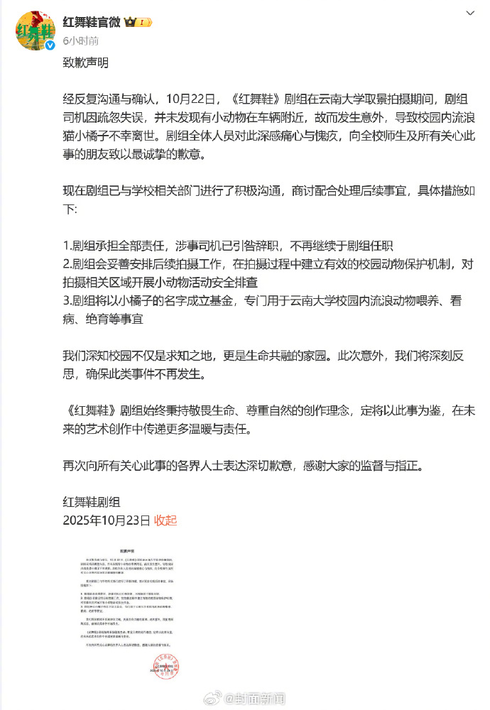 【#红舞鞋剧组撞猫司机引咎辞职#】10月23日凌晨，电视剧发布致歉声明：10月2
