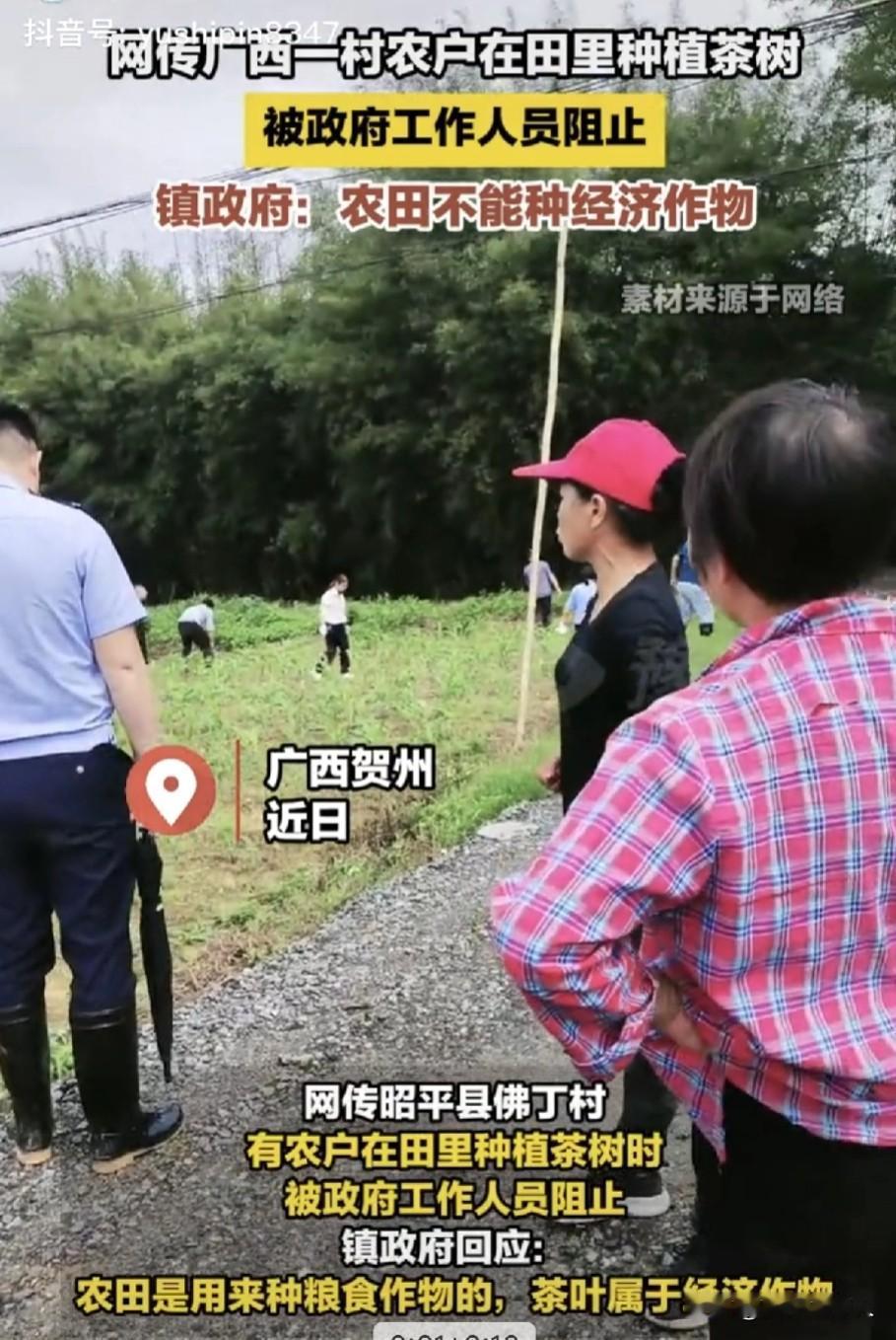 突发！有完没完？黑龙江村镇干部阻止5000亩良田事件还未平息，广西又出现村干部阻