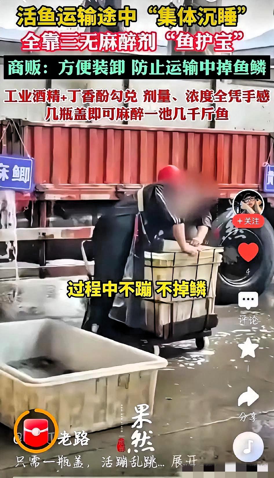 太缺德！活鱼被灌麻药端上桌，你吃的可能是“毒鱼”！央视曝出的水产市场“麻醉鱼”黑