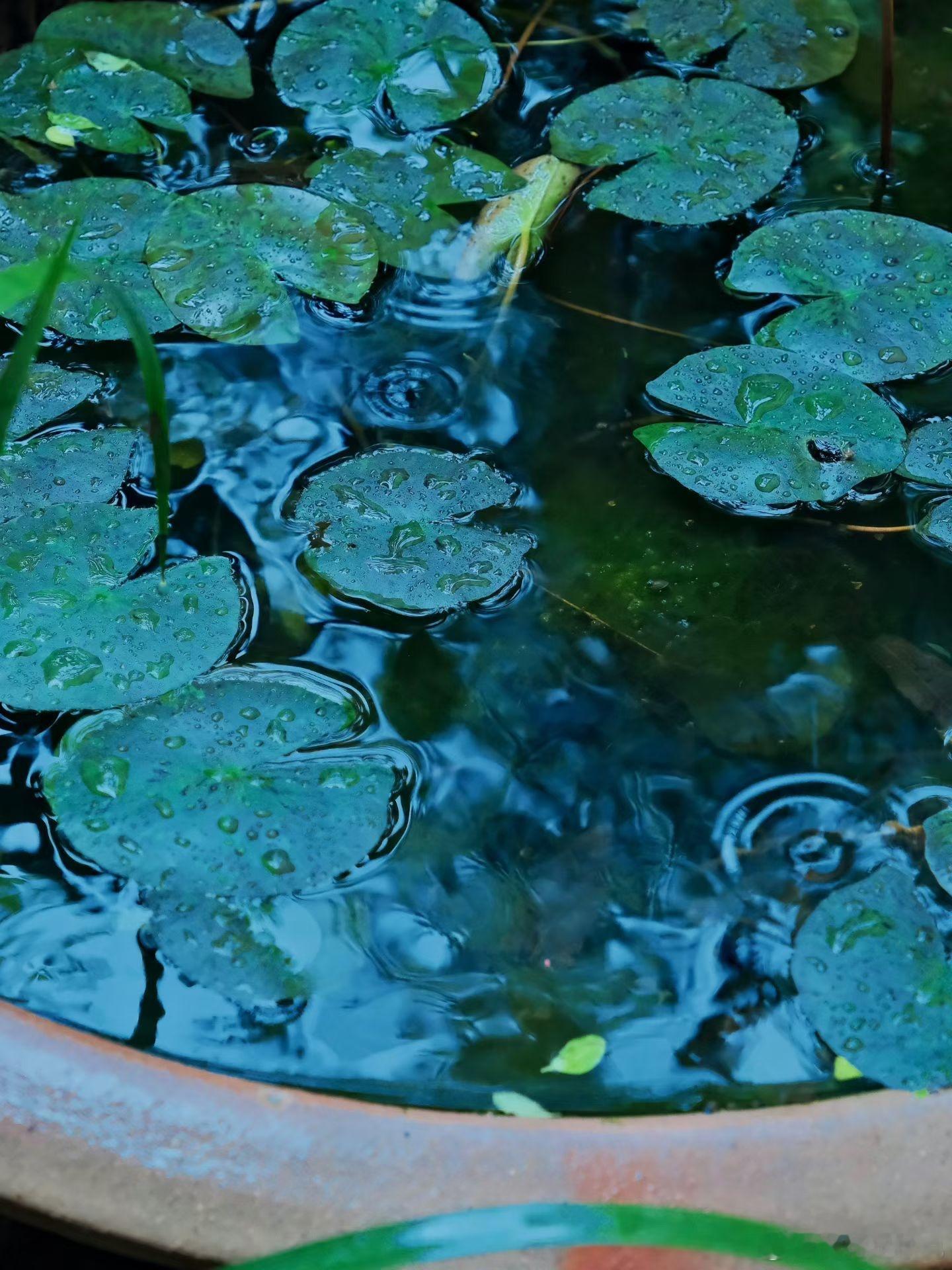 生活手记发现雨🌧感受雨🌧阳光信用 每日一善