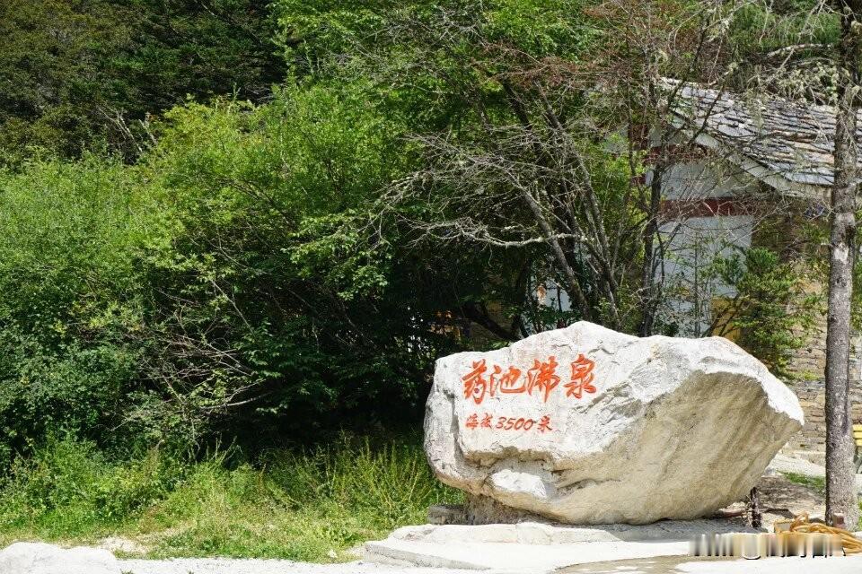 步入药池沸泉，暖泉潺潺、雾气轻柔，天然泉水温润养身。成群小鱼围拢脚边，轻啄肌肤，