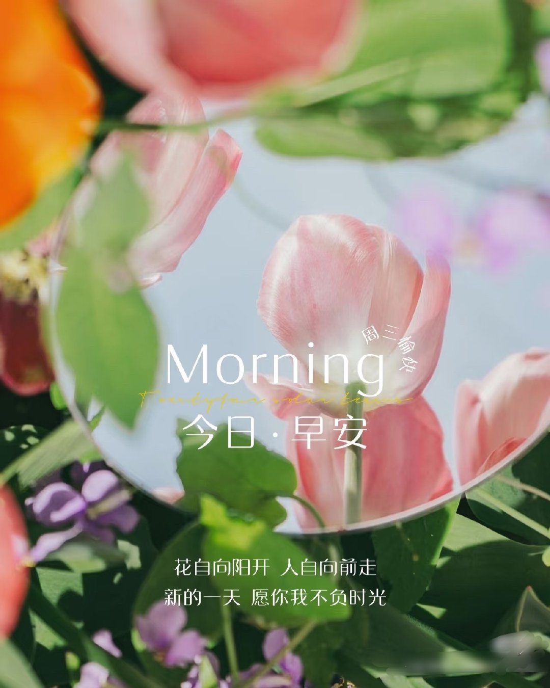 🦋🎈²º²⁶/₀₅.₂₇ ღº ✐ ᴹᴼᴿᴺᴵᴺᴳꔛ🍒ᵕ̈🍭🙀糟糕！又
