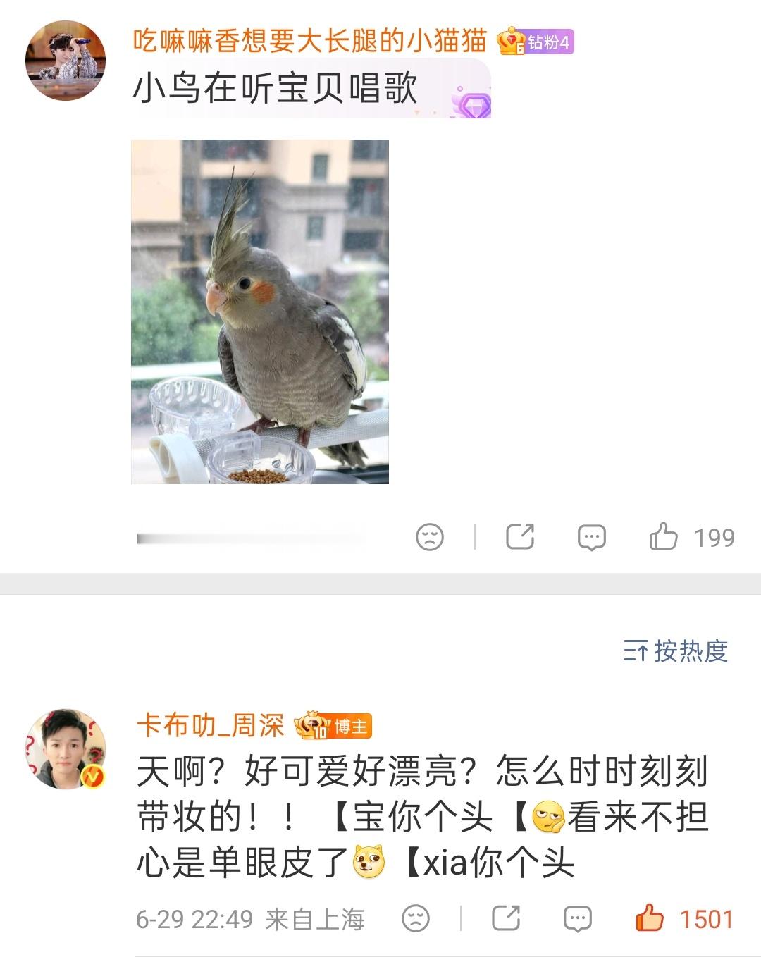 ▪ 2026.06.29②🐱回复网页链接