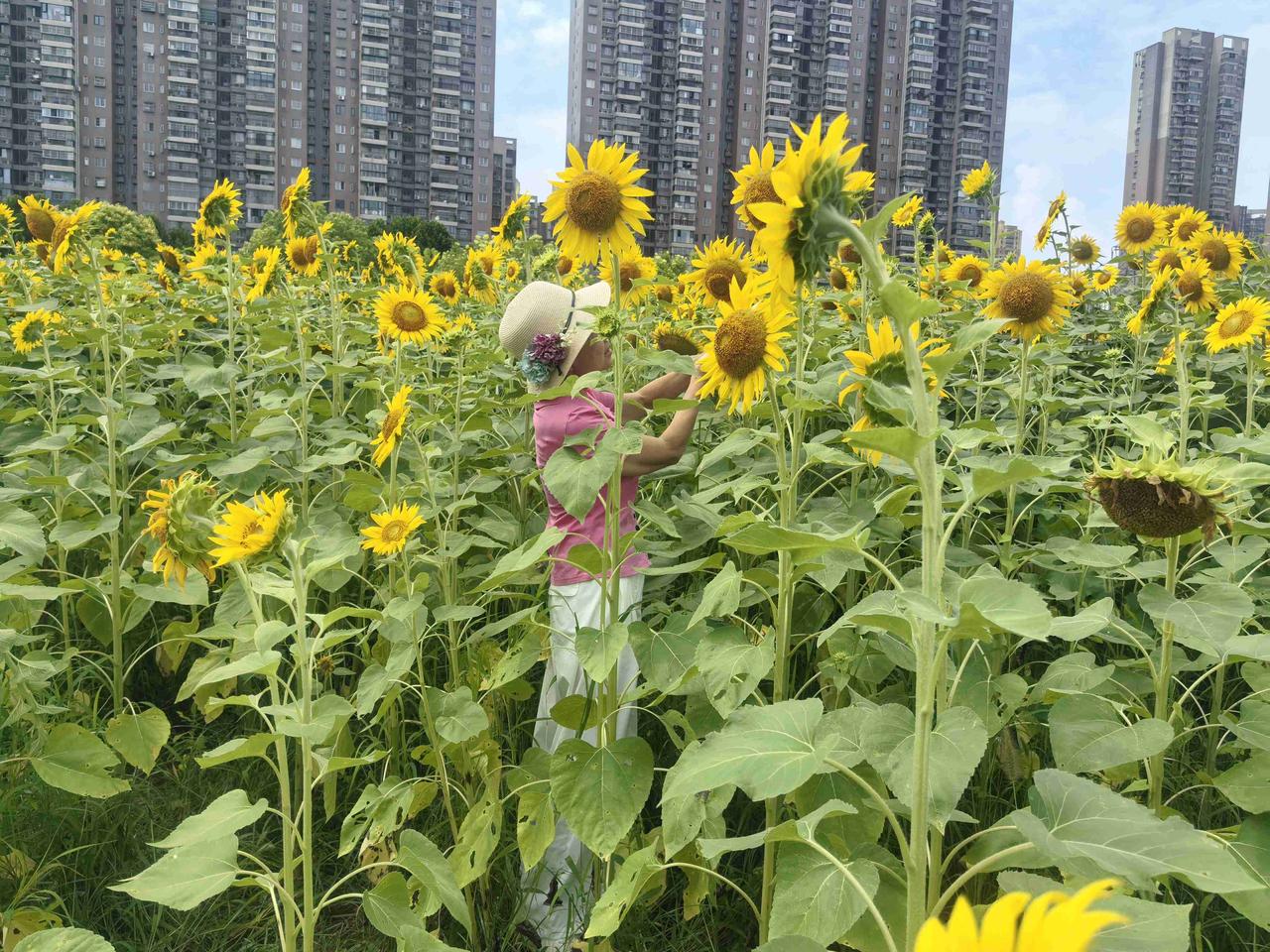 我今年买了很多的衣服。

就在一瞬间，我突然觉得，以后健康的时间并不是很多了。随