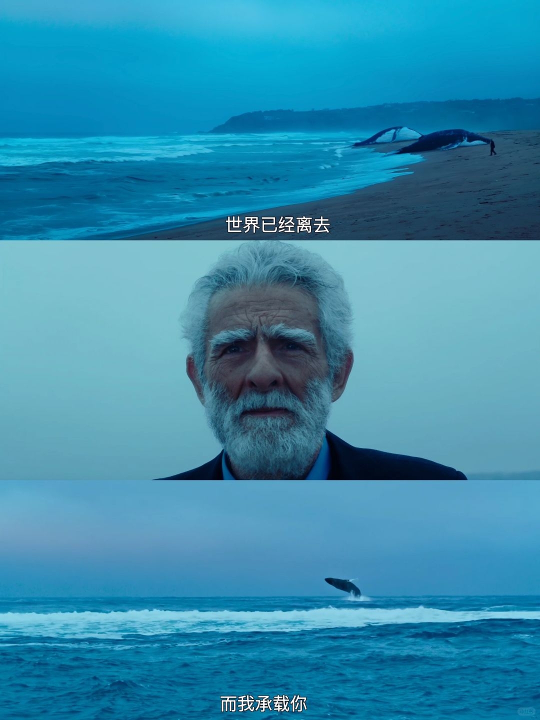 我要向全世界推荐这部电影😭后劲真的太大了