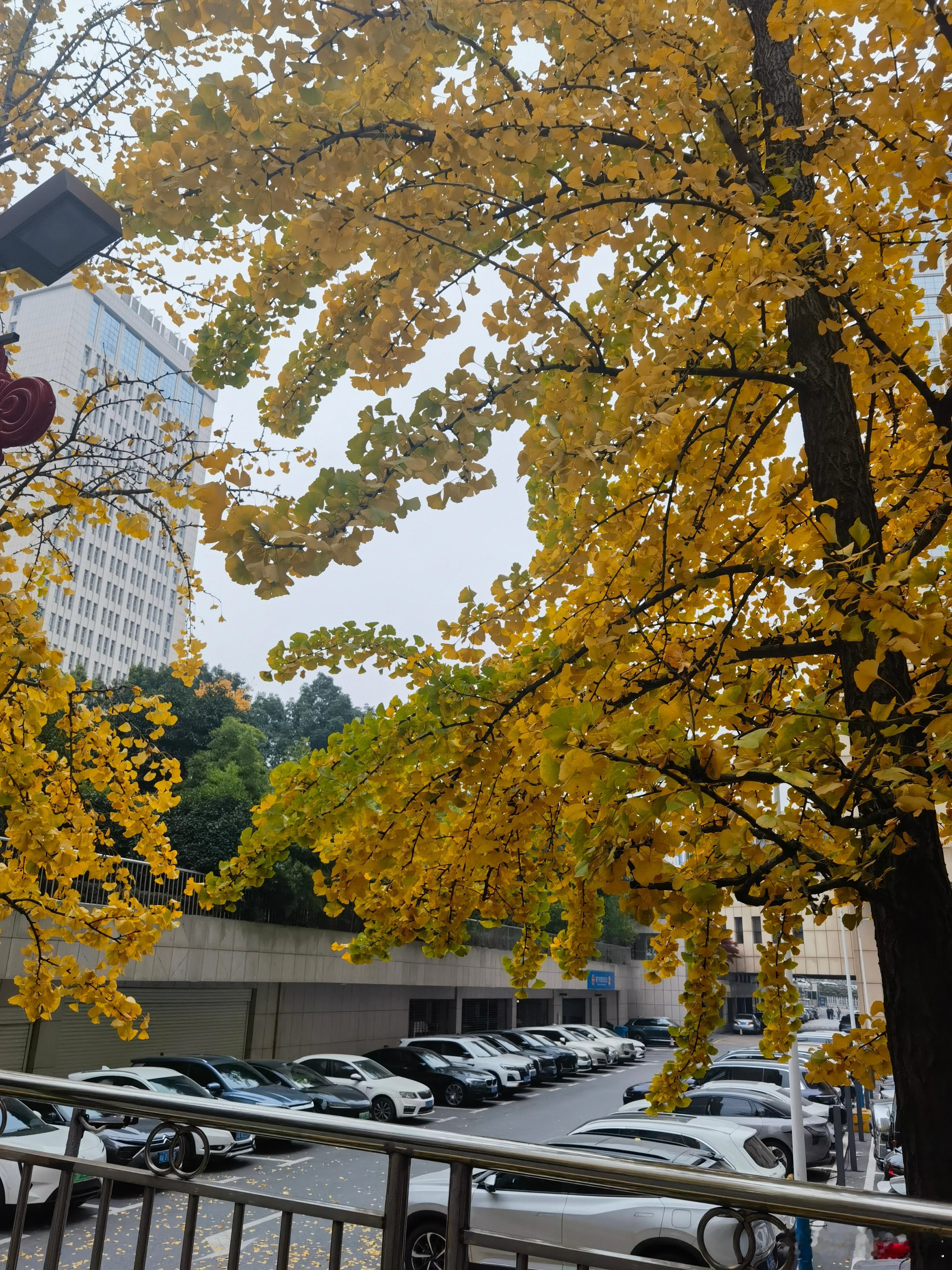 新旧更替，物是人非。 