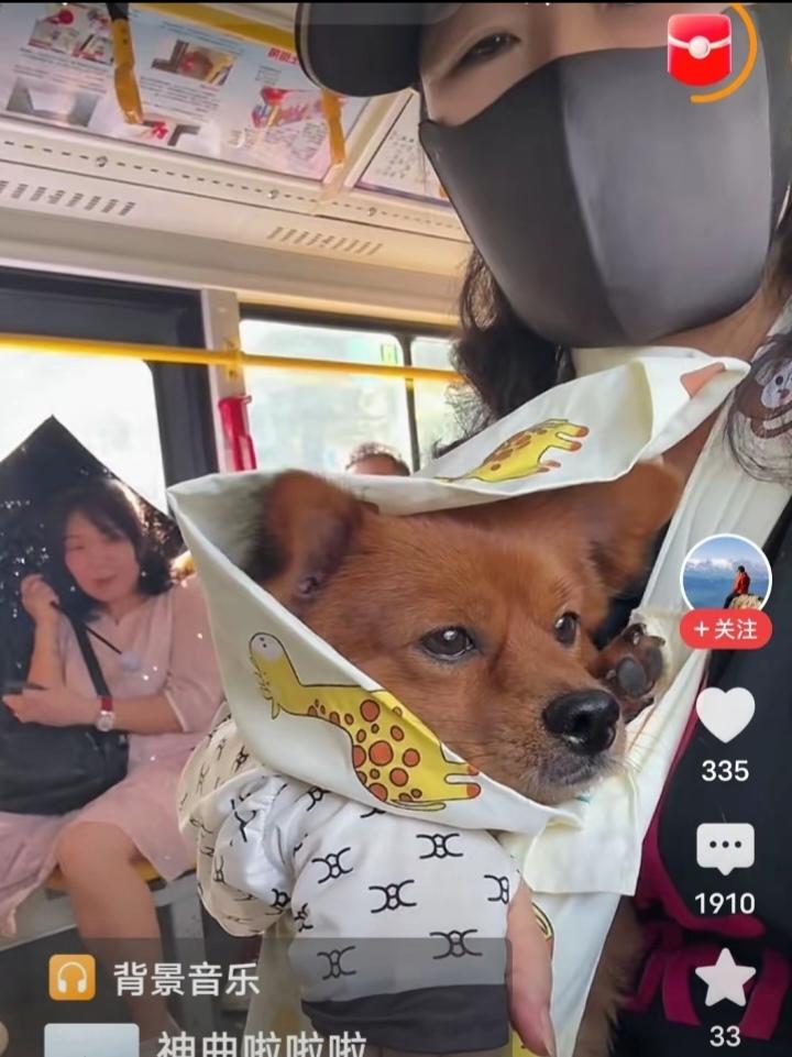 美女怀里抱着狗坐公交车，刚开始，乘客以为她怀里抱着婴儿呢，让座位那是应该的。
