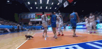 不速之客！今晚CBA四川男篮主场对阵广东男篮的比赛惊现一位特殊客人，比赛首节还有