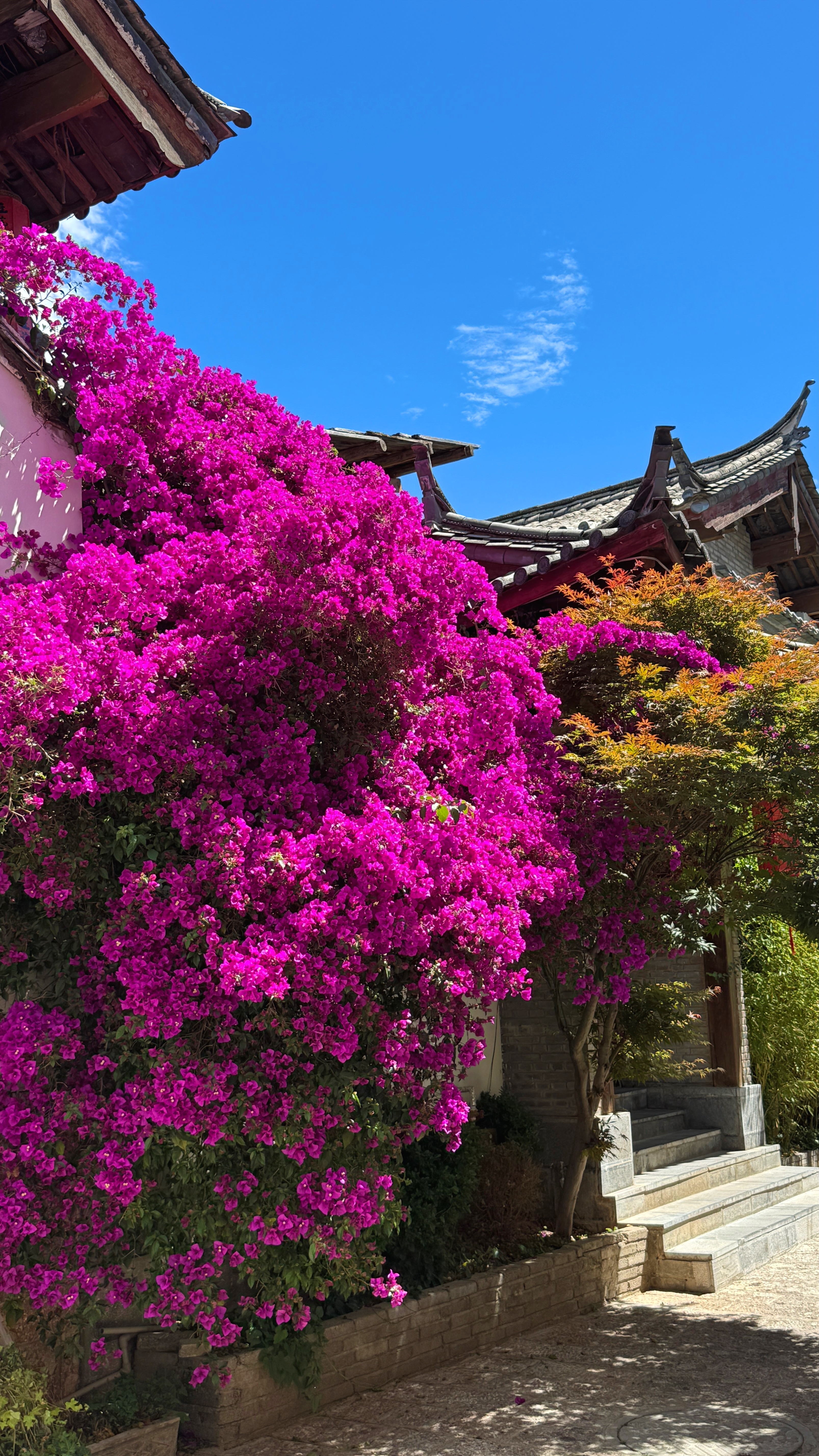 丽江5天4晚精品纯玩小团，人均¥1700，无购物无隐形消费，除了机票和部分餐，其