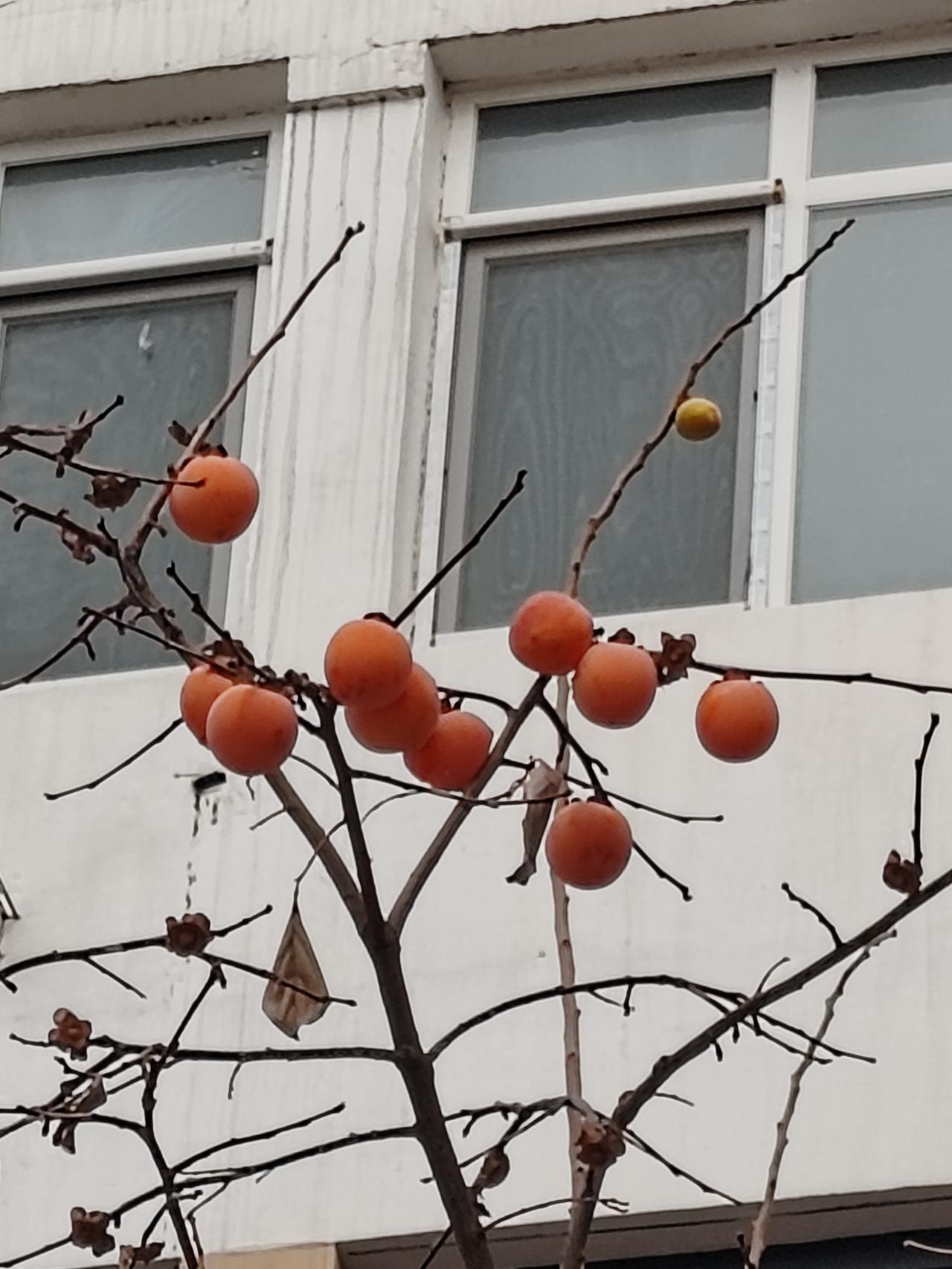 上联：知足方得心境好，诚邀下联贪心必然烦脑多